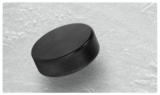 DNSEMP-C-350 Hockey Puck